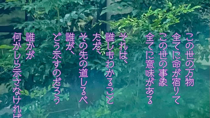 森羅万象 / ラグの写真詩