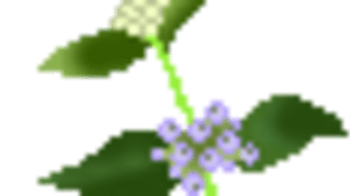ブラジルナッツ