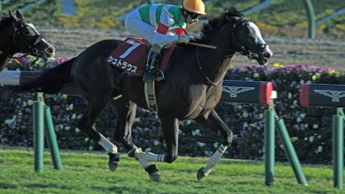 23東スポ杯2歳Sの写真