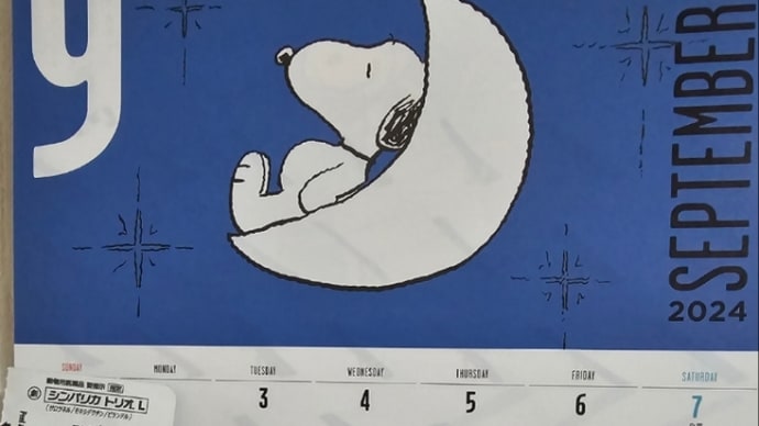 噛む基準がわからない