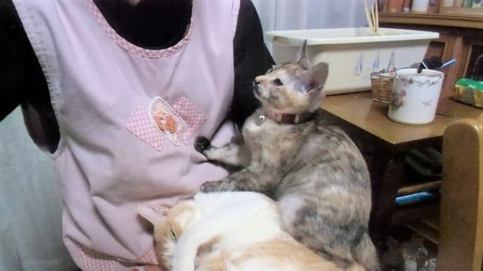 ミコちゃんとスプーン(^-^;