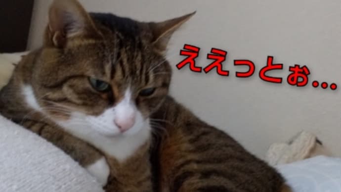 ぼるしちと実家の母