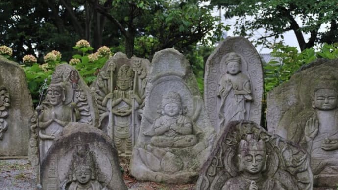 定福寺(羅漢様)その23