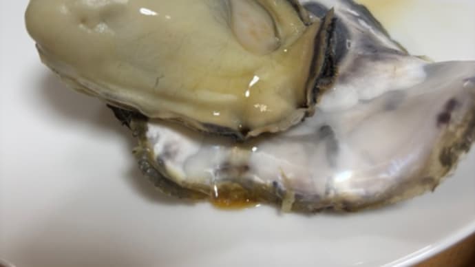 冬の味覚といえば牡蠣でしょう!