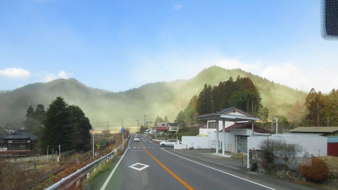 杉花粉。。。
