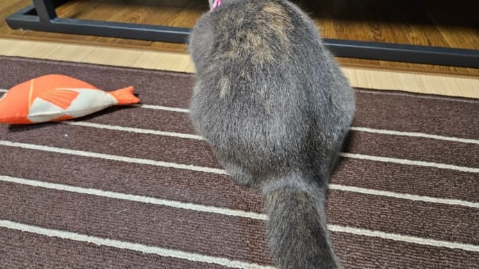 とんとん待ち