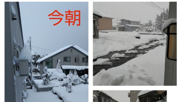 大雪警報当たったみたい