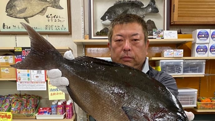 離島遠征・・