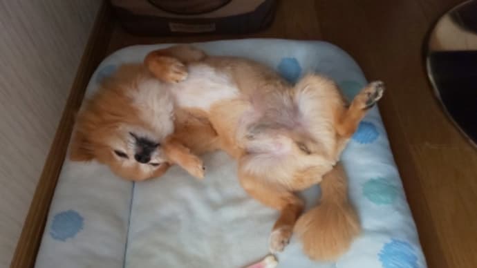 お墓参り