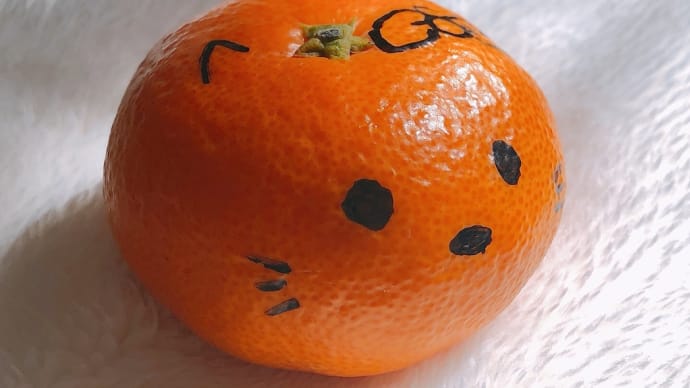 みかんアート 簡単編