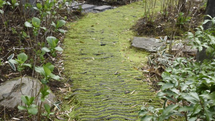 一条恵観山荘の庭石