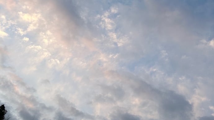 今日も一日頑張ってろー