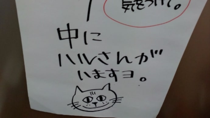 ハルさん、寝過ぎ!