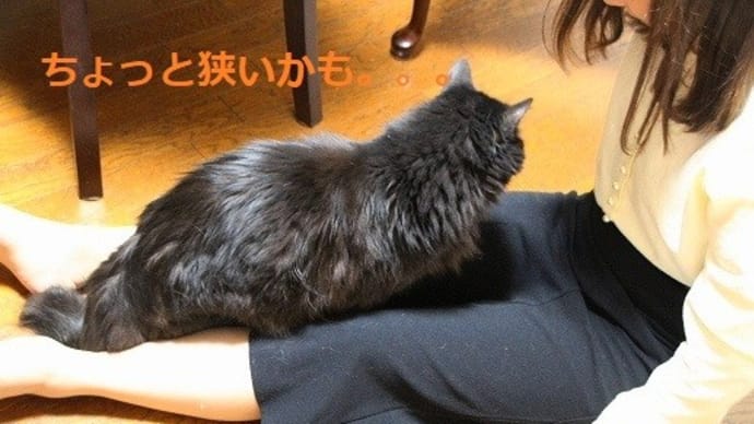 おもてなし~♪