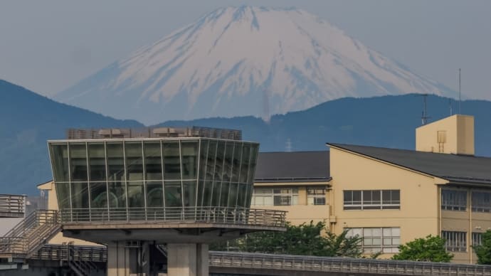 06/May 相模大堰の富士山🗻とコアジサシとセッカ