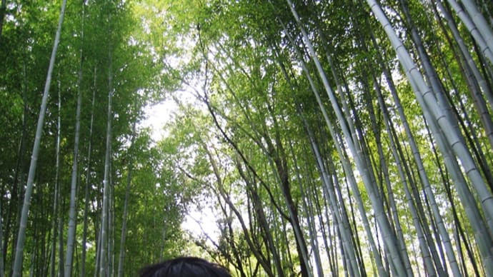日本で唯一の髪をお護する神社!!