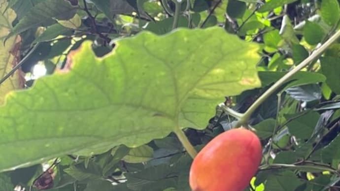 9月が過ぎて・・・