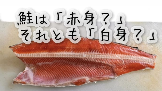 鮭は「赤身?」それとも「白身?」