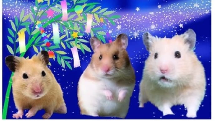7月のカレンダー2種類つくりました~