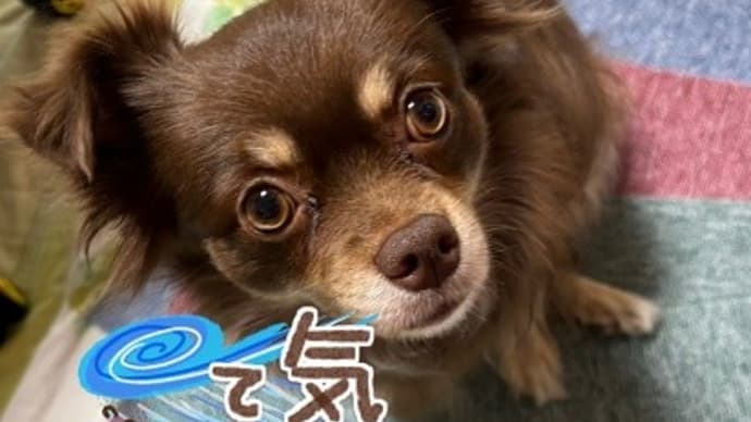台風~10号 大雨・大風~