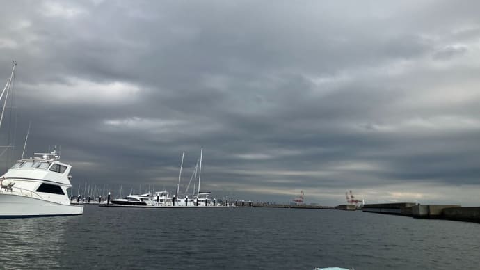 久しぶりにクソ予報に騙されましたね(´Д｀)　東京湾　アオリ便　2025/1/3