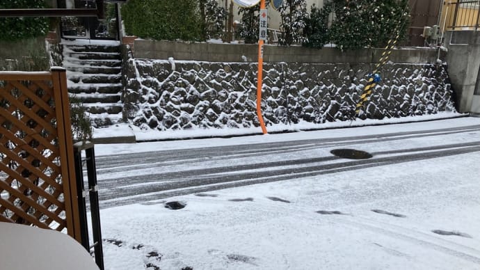 冬を満喫❄️❄️❄️