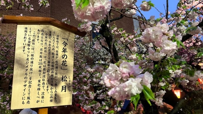 雨が好き
