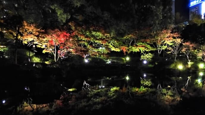 ２０２２・１２・５　横浜公園・彼我庭園のライトアップ