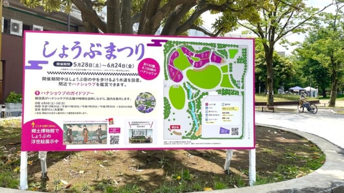 しょうぶまつり