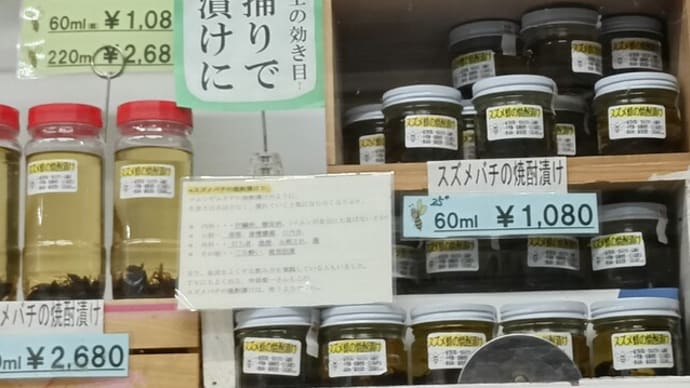 スズメバチの焼酎漬け~北丹沢の麓 高城商店