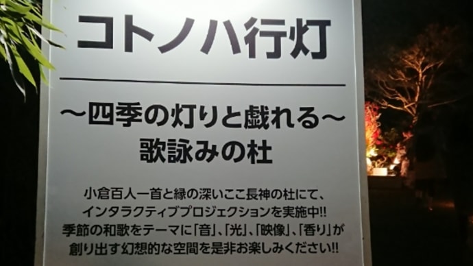 嵐山花灯路 長神の杜～二尊院編@2019 12 13