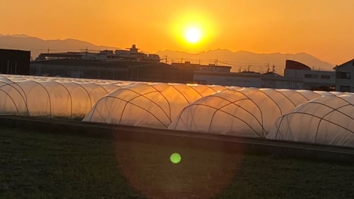 体は実にうまくできている