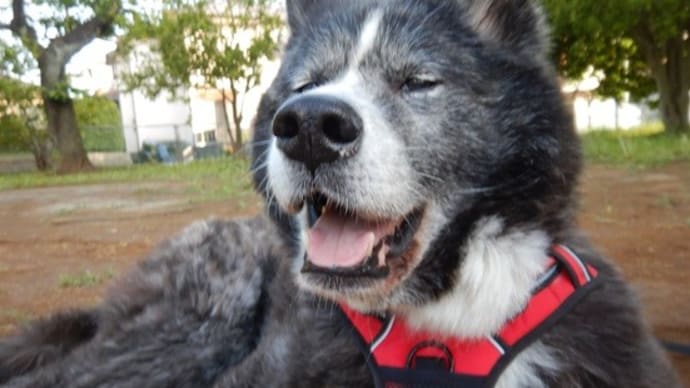 10才の誕生日おめでとう!