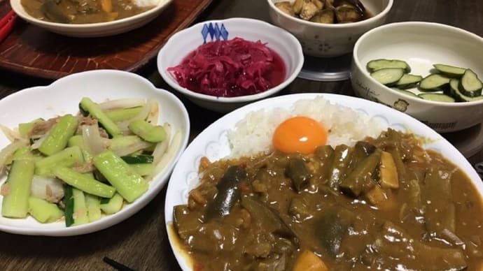 ヒトカラ、接骨院、カレー♪