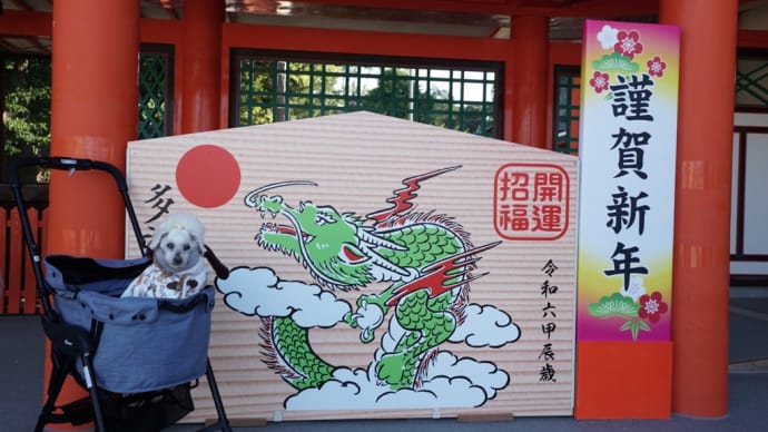 今日も初詣