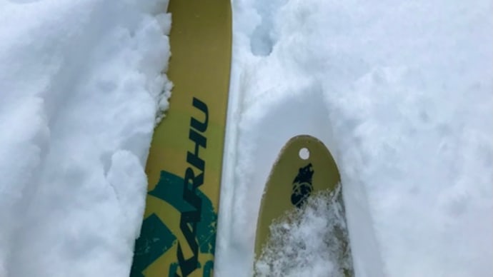 大雪山系の原生林を歩いてみたら