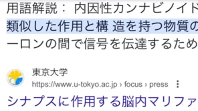 【健康法】の注意。〜アタリマエとツマラナイに「魔法」を混ぜたらキケンだよ〜