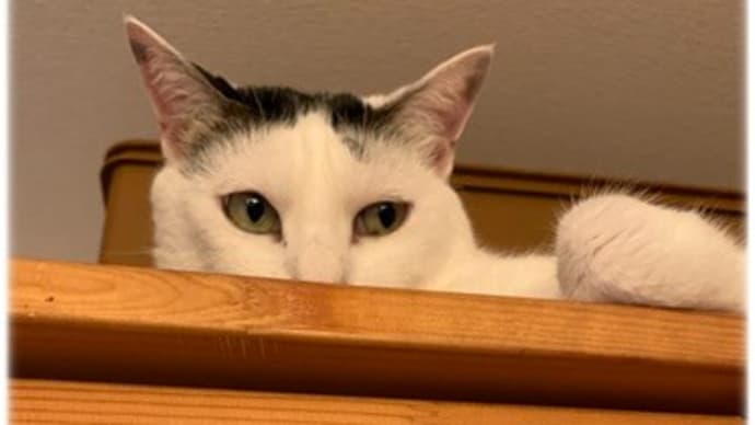 ひとつひとつ・・・・