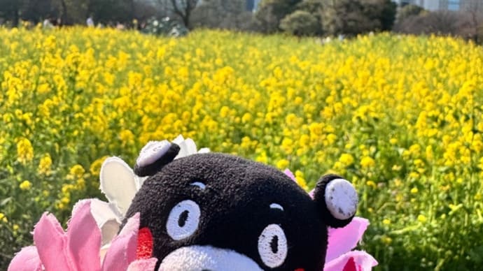今日いち-2025年3月23日ー浜離宮ー
