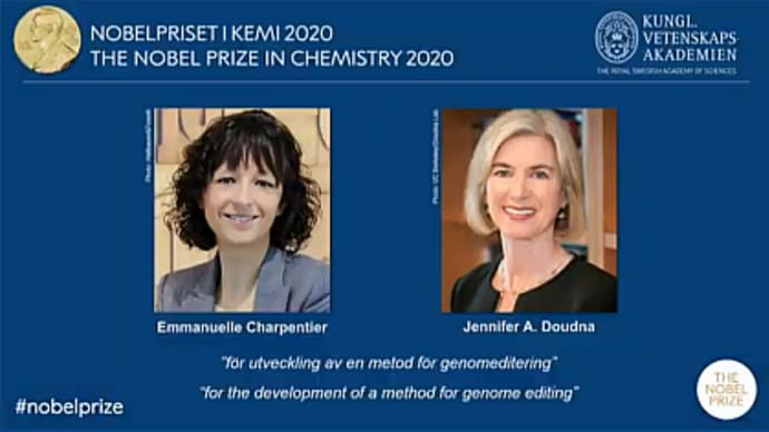 2020年 ノーベル化学賞はシャルパンティエ博士、ダウドナ博士に決定!