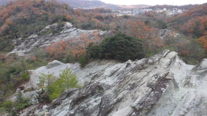 2021年12月8日(水) 屯鶴峯で、凝灰岩の奇岩と旧陸軍の地下壕をめぐる!