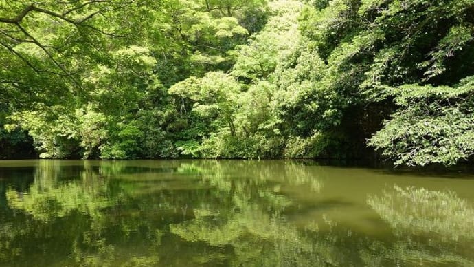 高松の栗林公園