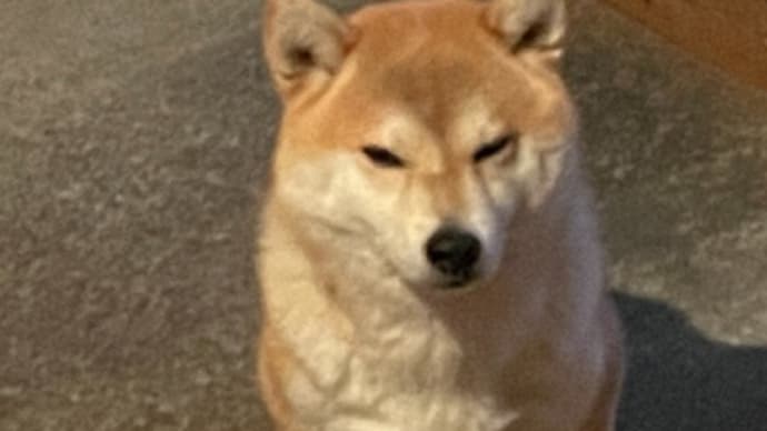 春のにおい