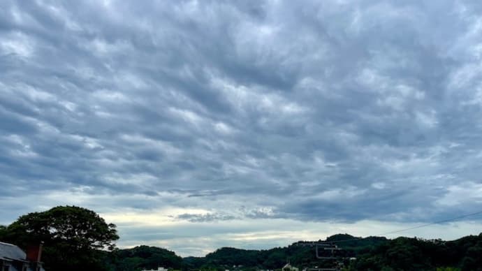 病理診断科に新人がきた