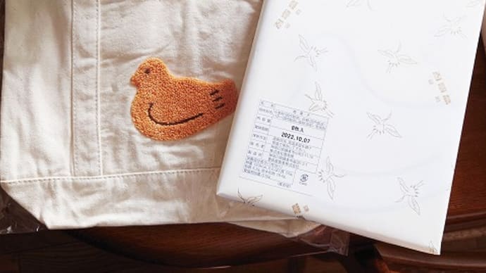 ハトの日2023 / 「もう一度やり直してください」は要注意! / 基底細胞がんの話