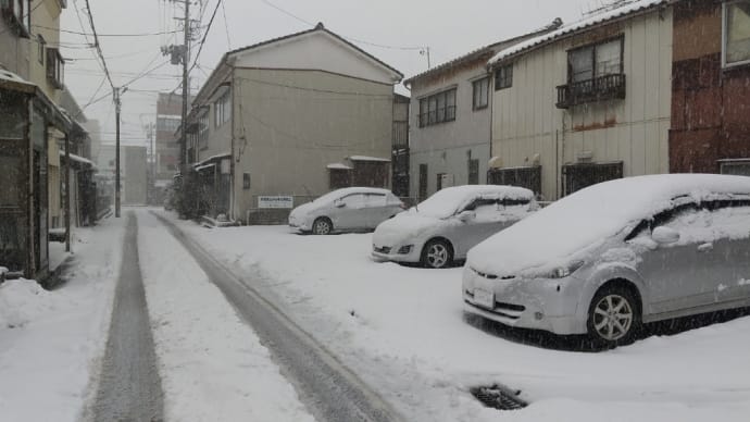 今年最初の運試し♪