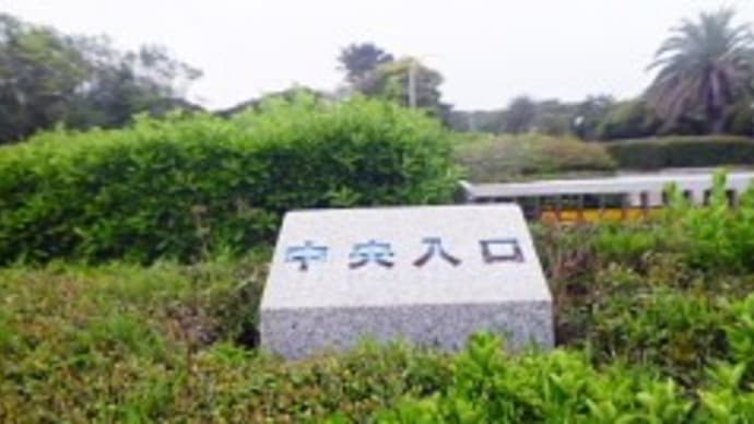 昨日海浜MC練習会、とうとう認知症が・・・