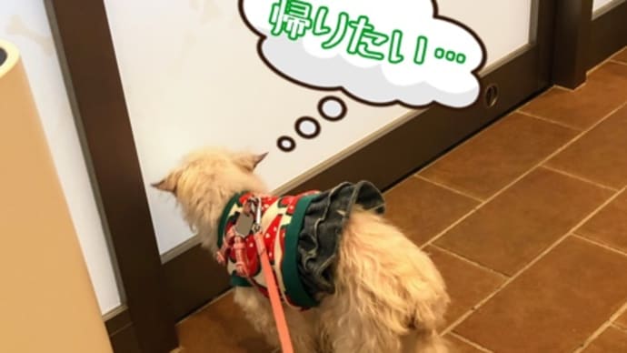 一旦終了