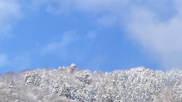 なごり雪ですか