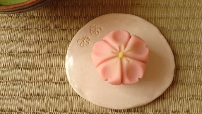 【ご感想:松戸教室】茶道には私の好きなものがたくさんつまっている!